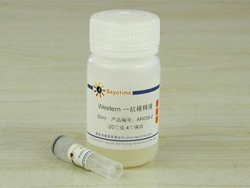 Rab5抗体(小鼠单抗)